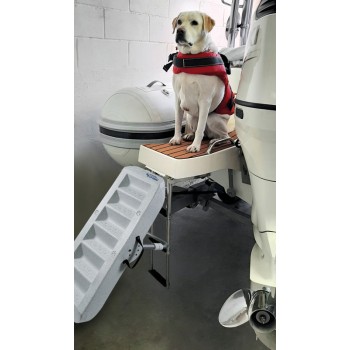 Scaletta per cani Paws Up 